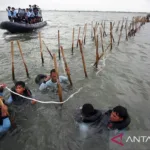 Pembongkaran Pagar Laut Capai…