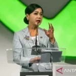 OJK Kenalkan Istilah “Pindar”
