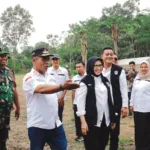 Bumdes Berbasis Wisata Jadi…