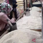 Bapanas: Beras Premium Turun…